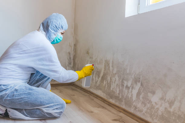 Commercial Mold Remediation assessment for commercial property in Sand Lake