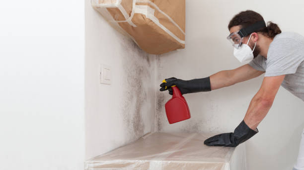 Basement Mold Remediation treatment on basement walls in Sand Lake